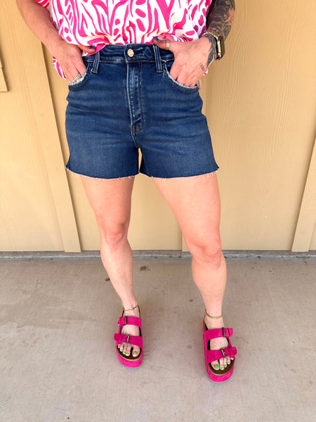 Vervet Dark Wash Denim Shorts