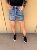 Vervet Rebecca High Rise Shorts